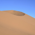 DSC4529