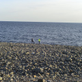  DSC3434